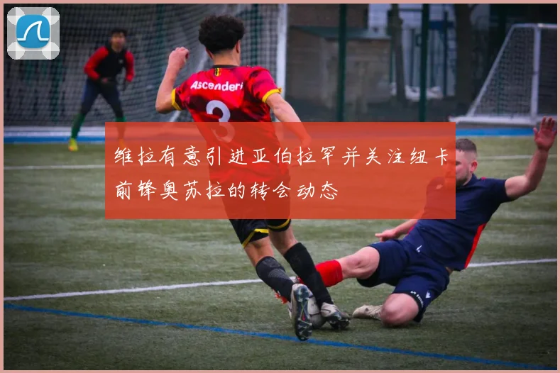 维拉有意引进亚伯拉罕并关注纽卡前锋奥苏拉的转会动态