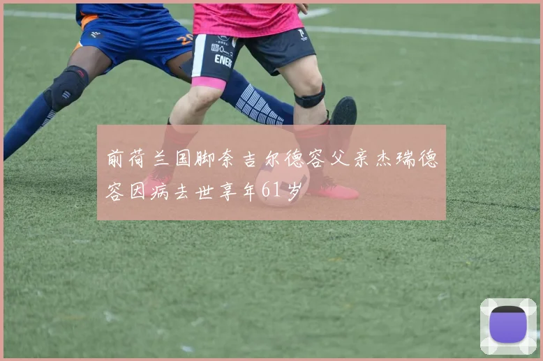 前荷兰国脚奈吉尔德容父亲杰瑞德容因病去世享年61岁